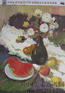 2010年中國美術(shù)學(xué)院設(shè)計(jì)類建筑色彩優(yōu)秀試卷評析（試卷13）