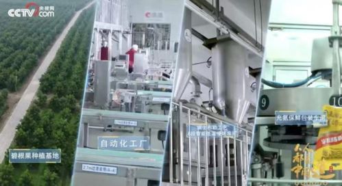 洽洽20年 一把堅(jiān)果背后的匠心與堅(jiān)守，與網(wǎng)絡(luò)科技領(lǐng)域技術(shù)開(kāi)發(fā)的跨界啟示